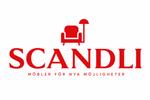 Logo of SCANDLI