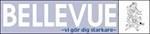 BellevueStadion