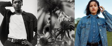 10 % alumnirabatt hos Levi's®