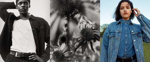 10 % alumnirabatt hos Levi's®