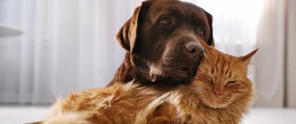 400 kr alumnirabatt hos Lassie