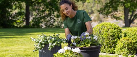 21 % studentrabatt på engångstjänster