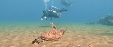 1 000 kr studentrabatt på backpacking-äventyr