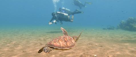 1 000 kr studentrabatt på backpacking-äventyr