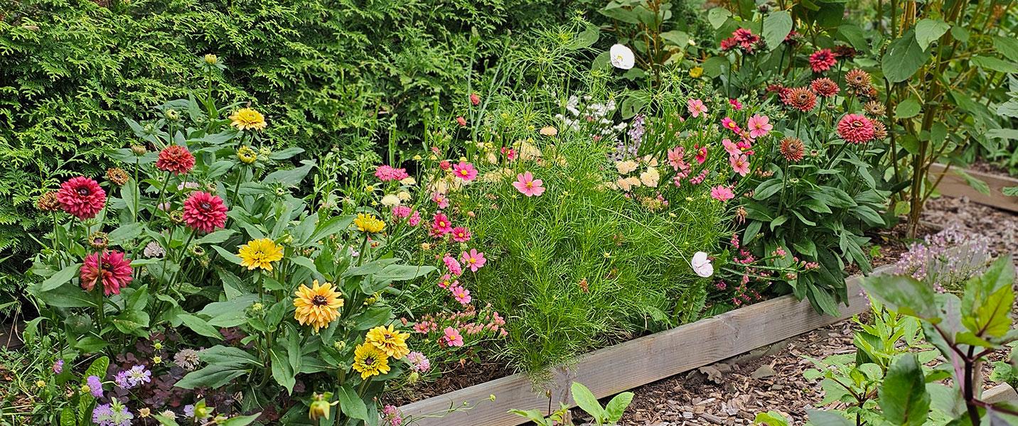 10 % rabatt hos Wexthuset