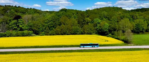 25 % studentrabatt på Sommarbiljetten hos Hallandstrafiken