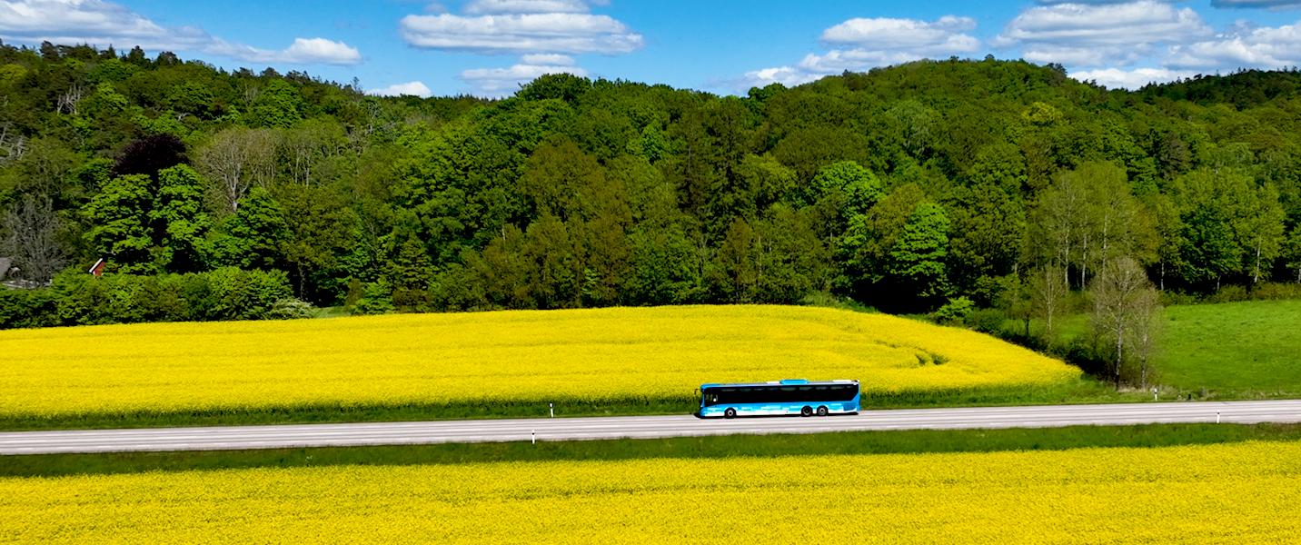 25 % studentrabatt på Sommarbiljetten hos Hallandstrafiken