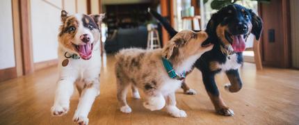 400 kr studentrabatt hos Lassie