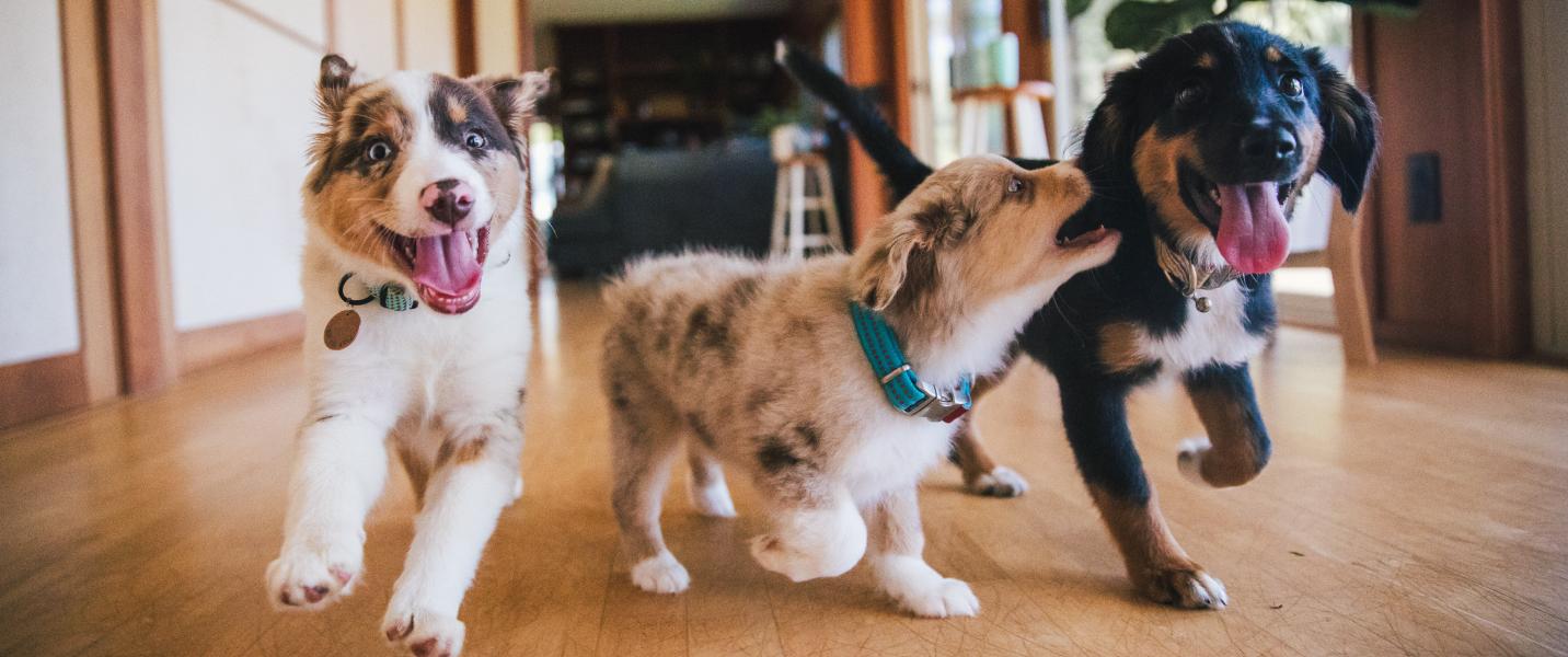 400 kr studentrabatt hos Lassie