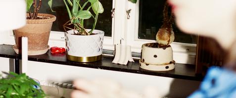 Prismatchning + 30 % alumnirabatt i 6 mån