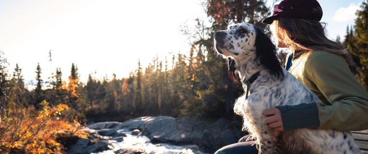 Petgood