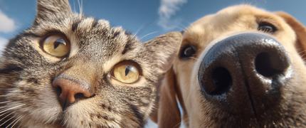 400 kr studentrabatt hos Lassie