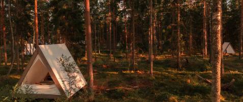 500 kr alumnirabatt per natt hos Happie Camp