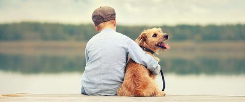 10 % rabatt på ett helt köp hos VetApotek