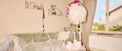 50 % studentrabatt på ditt första år hos Sejfa