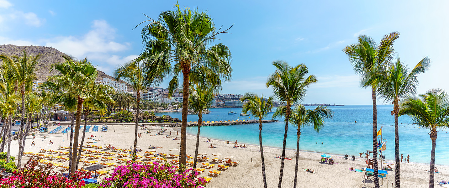 1 000 kr alumnirabatt på resor till Gran Canaria & Fuerteventura hos Apollo