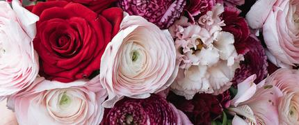 15 % seniorrabatt hos interflora