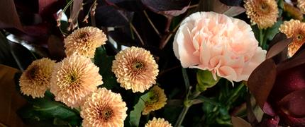 15 % studentrabatt hos Interflora