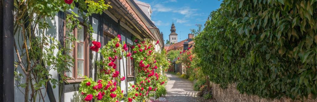 medieval-hanse-town-visby-in-sweden.jpg_s=1024x1024&w=is&k=20&c=faslNrJnnUrs3kZ6n8XWKTgc_I6B-IlpH7LQwos7au4=.jpg