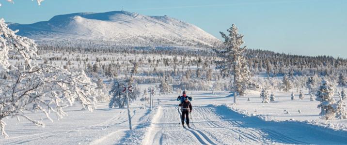 Destination Lofsdalen
