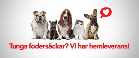 10 % rabatt hos Vetzoo