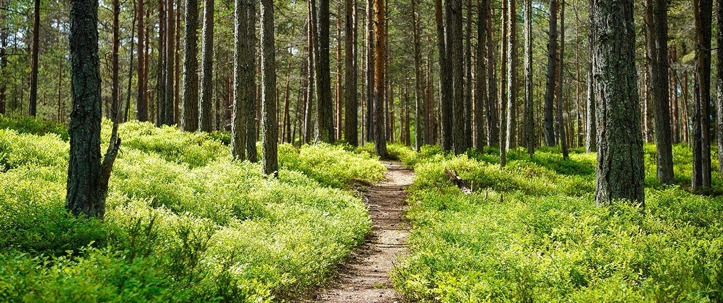 10 % rabatt hos OutdoorExperten