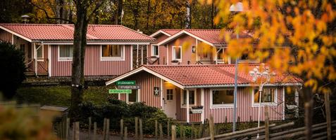 Upp till 30 % studentrabatt på Lisebergsbyn