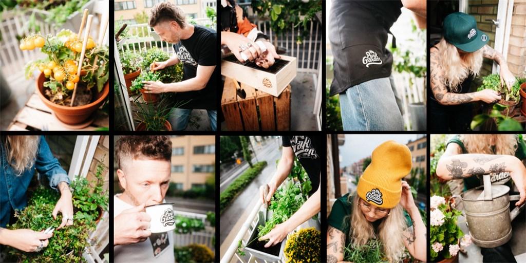 15 % studentrabatt hos Punk Garden