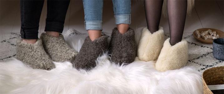 The Cozy Sheep