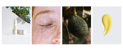 15 % alumnirabatt hos éclore