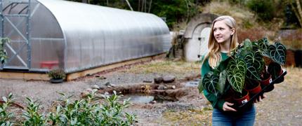 15 % studentrabatt hos Klorofyllverket