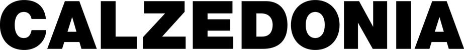 Logo of Calzedonia