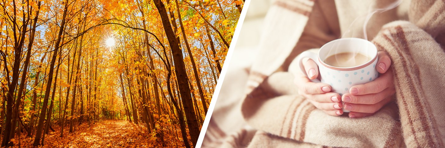 Cozy Autumn