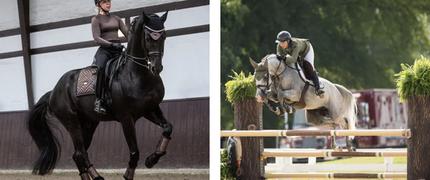 Equestrian Stockholm