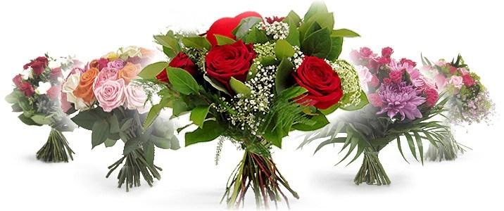EuroFlorist