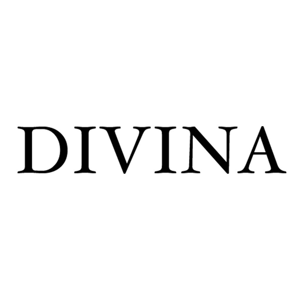 Logo of Divina Sports