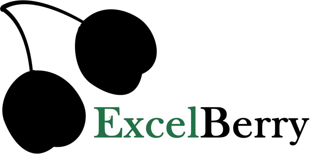 Logo of ExcelBerry