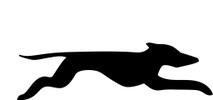 Logo of Swedish Greyhound Eyewear