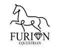Logo of Furion Equestrian