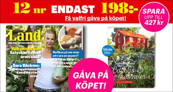 Land tidnigar