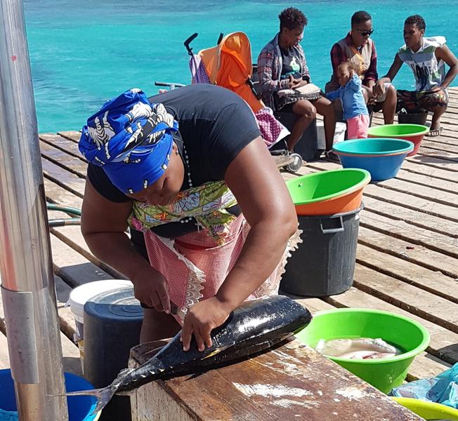 Solig Strand i Afrikanskt Land