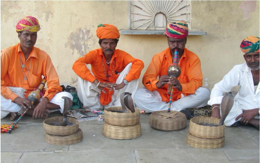 Sagobröllop, rundtur och massbad i Ganges