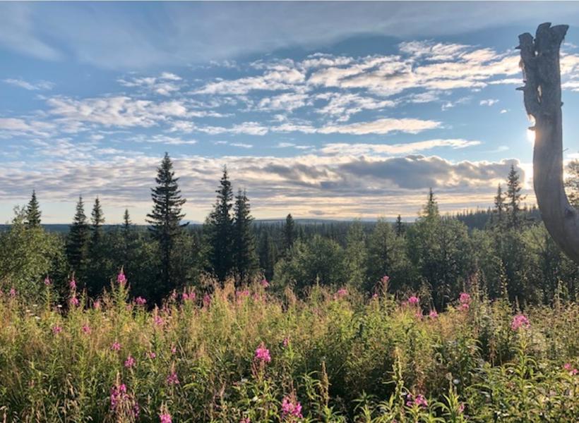 Fulufjället, Njupeskär och vackra Siljan