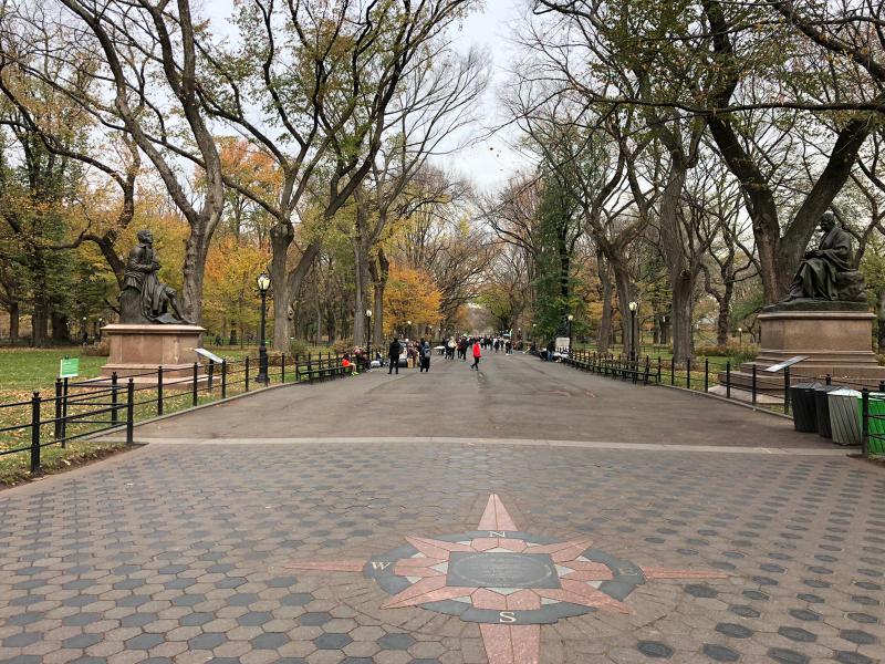 Upplev städernas stad New York
