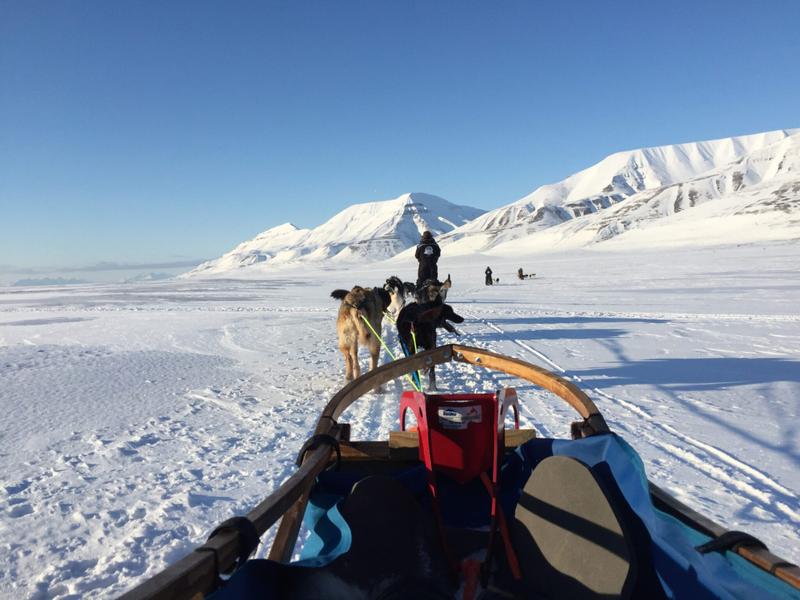 Svalbard, en pärla ett stenkast från Nordpolen