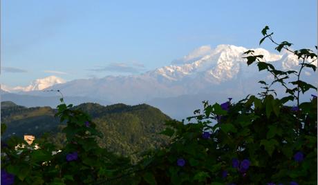 Böneflaggor. Stupor. Jakar. Tempel. Himalaya. Natur. Djungel. Annapurna. Bergsvandring.
