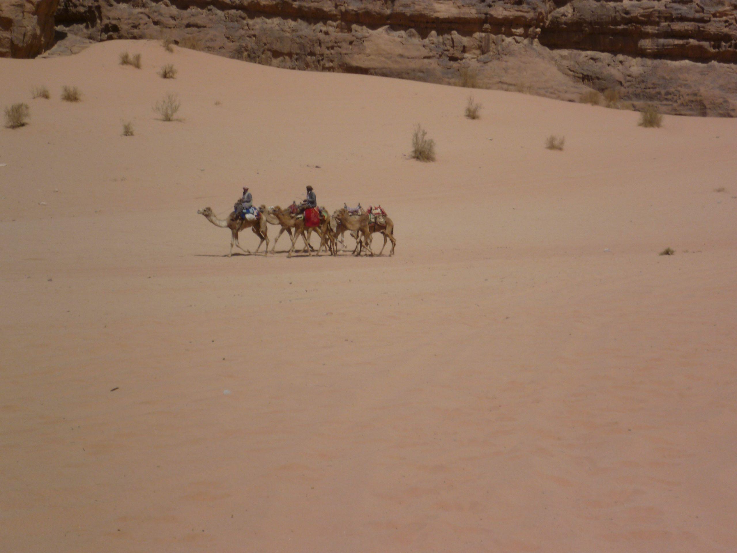 wadi-rum-scaled.jpg