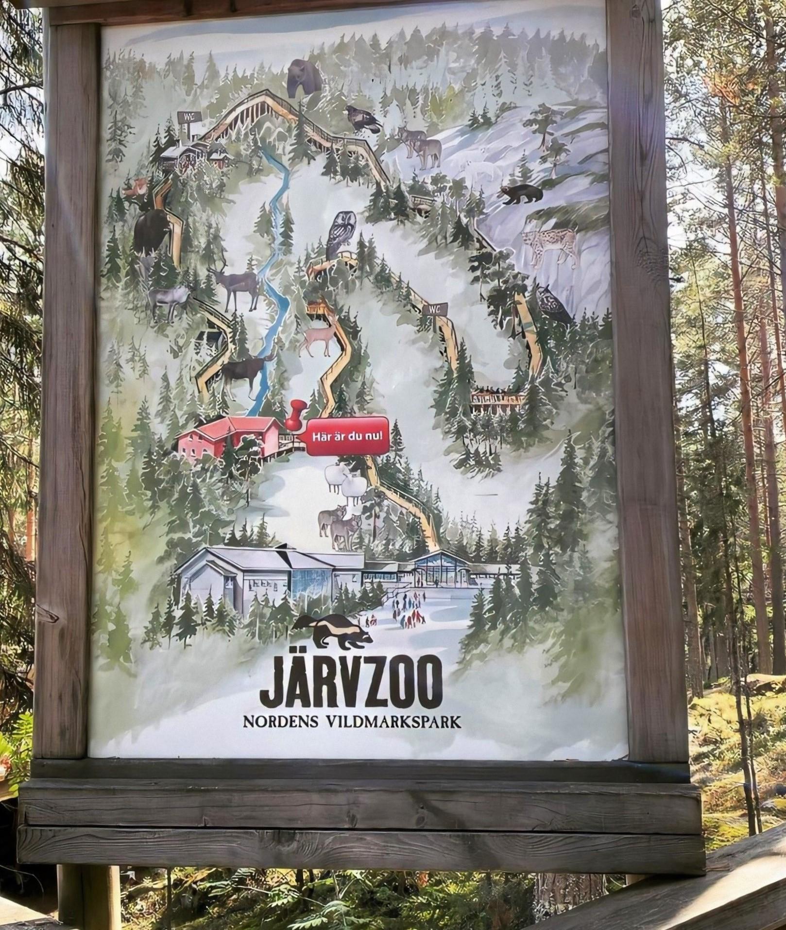 zoojarvso1-.jpg